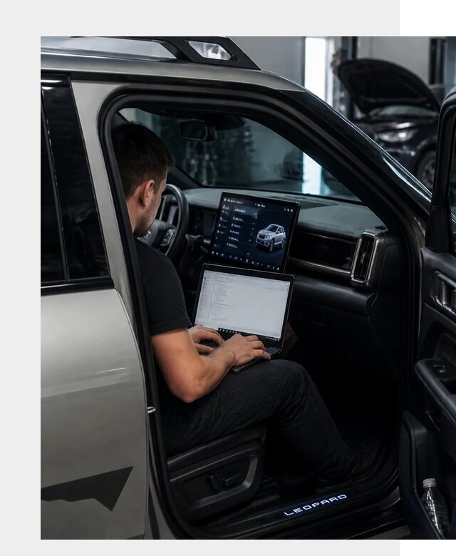 Русификация BYD Leopard 3 в Домодедове по цене от 20947 р. | ФастМобиль-Дмд
