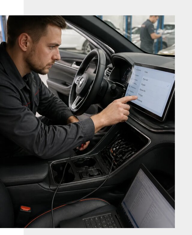 Профессиональная русификация BYD SONG Plus в Домодедове